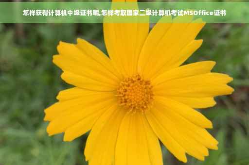 怎样获得计算机中级证书呢,怎样考取国家二级计算机考试MSOffice证书