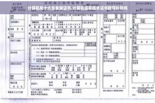 计算机类十大含金量证书,计算机信息技术证书能领补贴吗