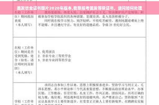 美发毕业证书图片2020年版本,我想报考美发等级证书，请问如何处理