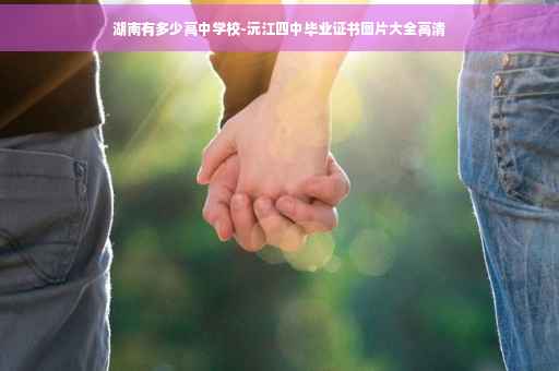 湖南有多少高中学校-沅江四中毕业证书图片大全高清