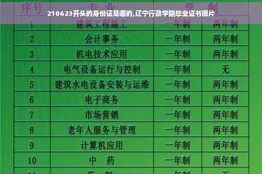 210623开头的身份证是哪的,辽宁行政学院毕业证书图片
