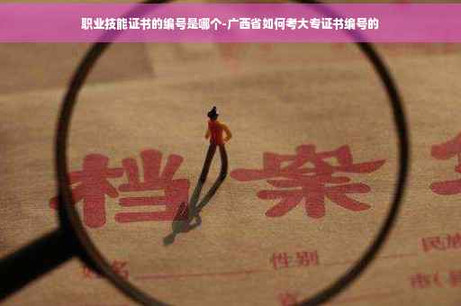 职业技能证书的编号是哪个-广西省如何考大专证书编号的