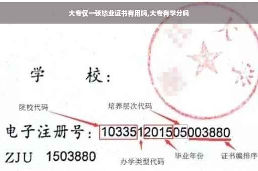 大专仅一张毕业证书有用吗,大专有学分吗
