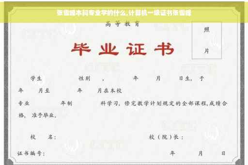张雪峰本科专业学的什么,计算机一级证书张雪峰