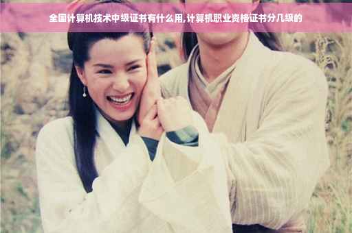 全国计算机技术中级证书有什么用,计算机职业资格证书分几级的