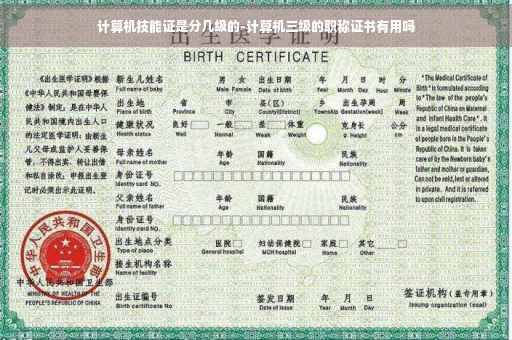 计算机技能证是分几级的-计算机三级的职称证书有用吗