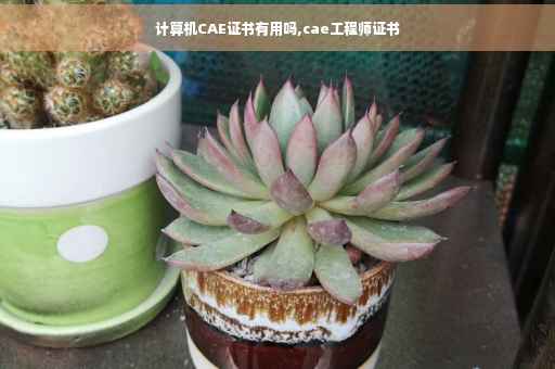 计算机CAE证书有用吗,cae工程师证书