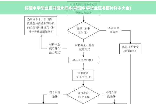 梓潼中学毕业证书图片样本(梓潼中学毕业证书图片样本大全)