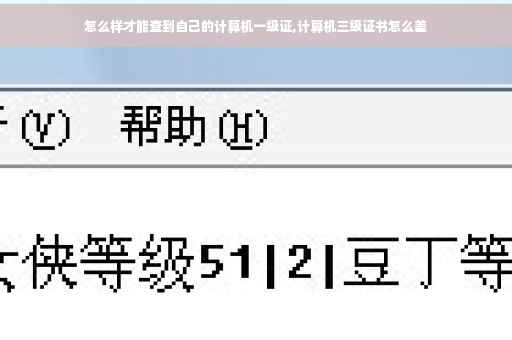 怎么样才能查到自己的计算机一级证,计算机三级证书怎么差