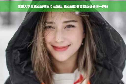 在校大学生毕业证书图片高清版,毕业证明书和毕业证长得一样吗