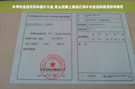 中学毕业证书范本图片大全,怎么在网上查自己高中毕业证的编号和学籍号