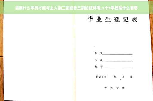 需要什么学历才能考上大副二副或者三副的证件呢,3十3学校是什么意思