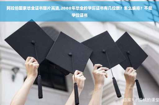 阿拉伯国家毕业证书图片高清,2000年毕业的学历证书有几位数？怎么编排？不是学位证书