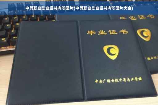 中等职业毕业证书内芯图片(中等职业毕业证书内芯图片大全)