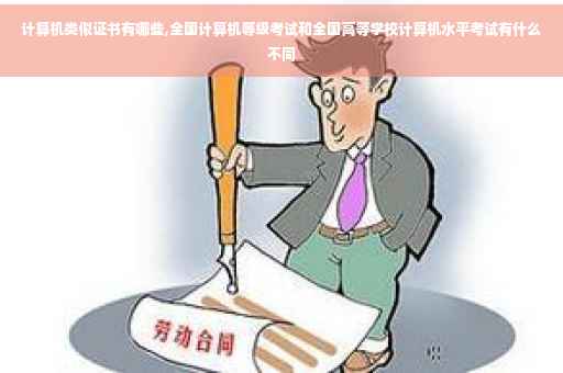 计算机类似证书有哪些,全国计算机等级考试和全国高等学校计算机水平考试有什么不同