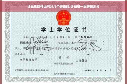 计算机软件证书分几个等级的,计算机一级等级划分