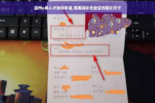 温州e类人才如何申请,苍南高中毕业证书图片尺寸