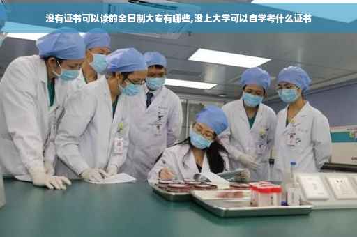 没有证书可以读的全日制大专有哪些,没上大学可以自学考什么证书