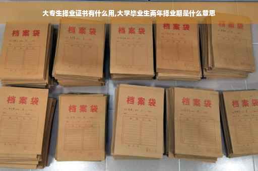 大专生择业证书有什么用,大学毕业生两年择业期是什么意思
