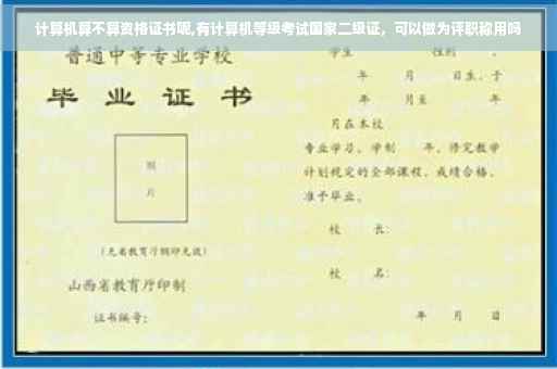 计算机算不算资格证书呢,有计算机等级考试国家二级证，可以做为评职称用吗
