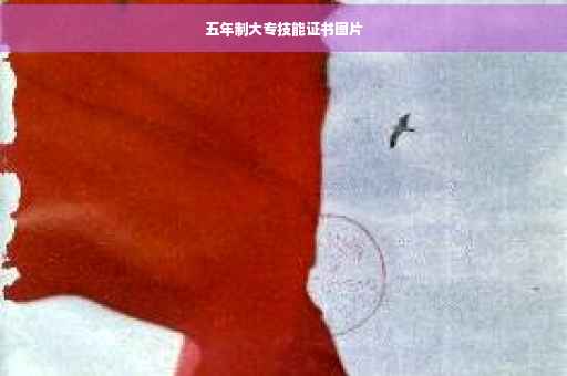 五年制大专技能证书图片