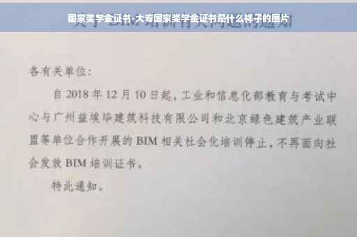 国家奖学金证书-大专国家奖学金证书是什么样子的图片