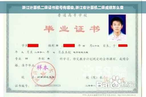 浙江计算机二级证书称号有哪些,浙江省计算机二级成绩怎么查