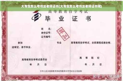 大专生怎么考书法老师证书(大专生怎么考书法老师证书呢)