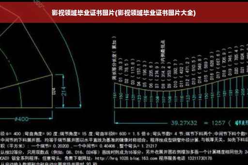 影视领域毕业证书图片(影视领域毕业证书图片大全)