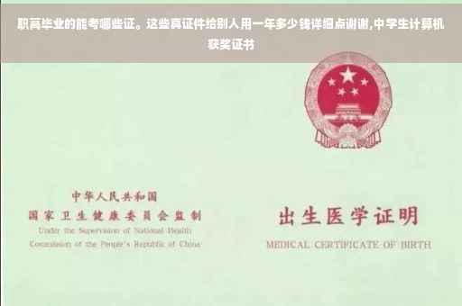 职高毕业的能考哪些证。这些真证件给别人用一年多少钱详细点谢谢,中学生计算机获奖证书