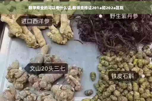 数学专业的可以考什么证,教师资格证201a和202a区别
