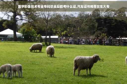 医学影像技术专业专科毕业后能考什么证,汽车证书推荐女生大专