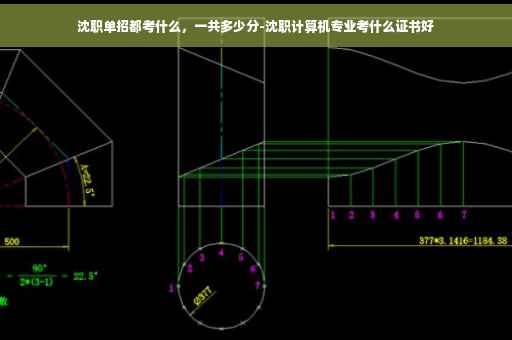 沈职单招都考什么，一共多少分-沈职计算机专业考什么证书好