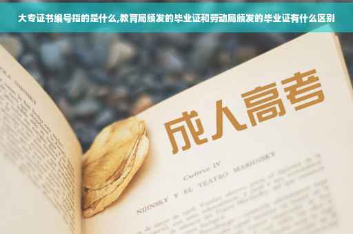 大专证书编号指的是什么,教育局颁发的毕业证和劳动局颁发的毕业证有什么区别