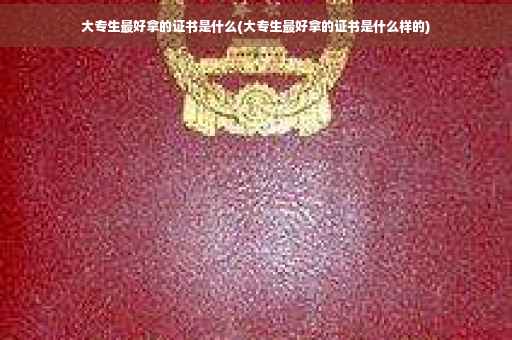 大专生最好拿的证书是什么(大专生最好拿的证书是什么样的)