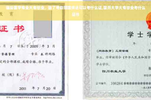 临床医学专业大专毕业，除了考助理医师还可以考什么证,国开大学大专毕业考什么证书