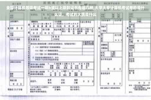 全国计算机等级考试一级b或以上级别证书有哪几种,大学大专计算机考试考的是什么证，考试的大纲是什么