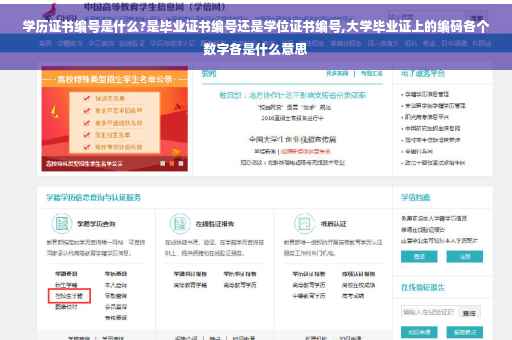 学历证书编号是什么?是毕业证书编号还是学位证书编号,大学毕业证上的编码各个数字各是什么意思