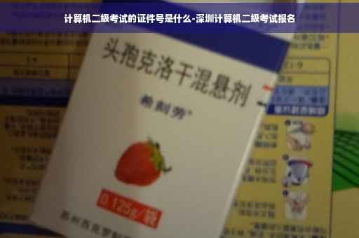 计算机二级考试的证件号是什么-深圳计算机二级考试报名