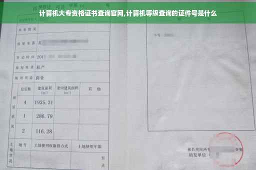 计算机大专资格证书查询官网,计算机等级查询的证件号是什么