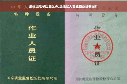 退伍证电子版怎么弄,退伍军人专业毕业证书图片