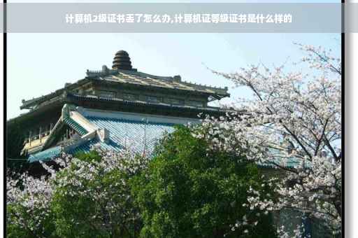 计算机2级证书丢了怎么办,计算机证等级证书是什么样的 计算机2级证书丢了怎么办,计算机证等级证书是什么样的
