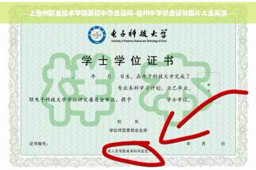 上宿州职业技术学院要初中毕业证吗-宿州中学毕业证书图片大全高清