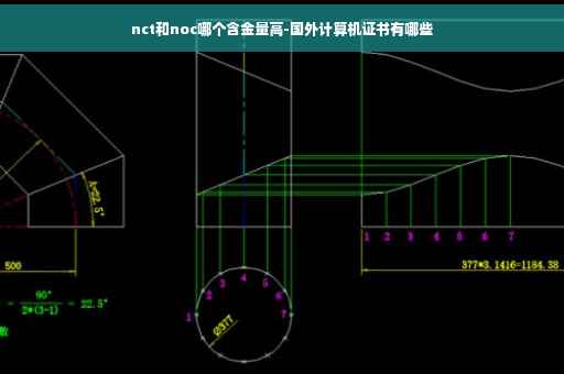 nct和noc哪个含金量高-国外计算机证书有哪些