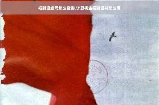 报到证编号怎么查询,计算机生报到证书怎么写