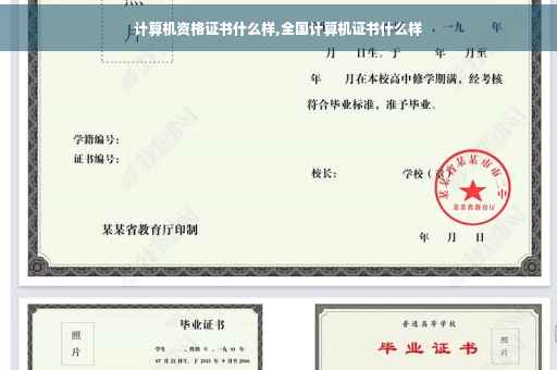 计算机资格证书什么样,全国计算机证书什么样
