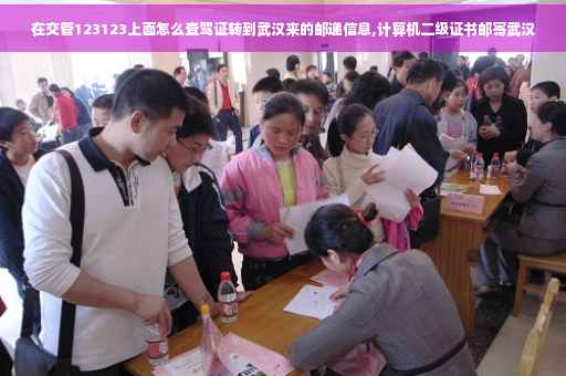 在交管123123上面怎么查驾证转到武汉来的邮递信息,计算机二级证书邮寄武汉