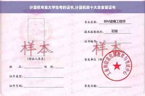 计算机专业大学生考的证书,计算机类十大含金量证书