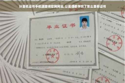 计算机证书手机端查询官网网址,公需课都学完了怎么查看证书