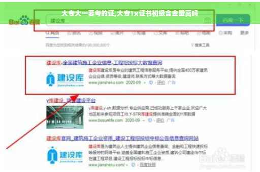 大专大一要考的证,大专1x证书初级含金量高吗